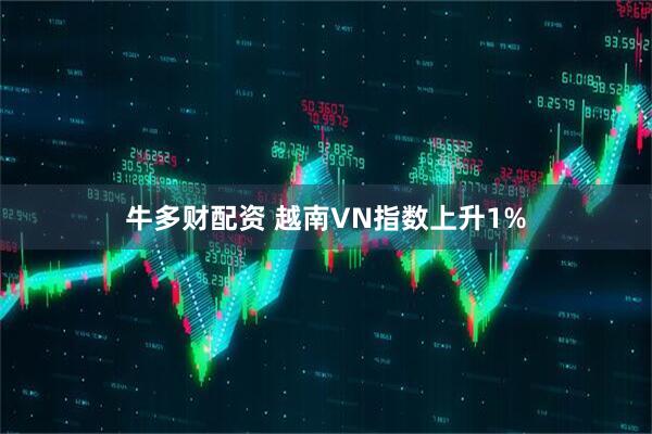 牛多财配资 越南VN指数上升1%