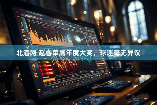 北港网 赵睿荣膺年度大奖，球迷毫无异议